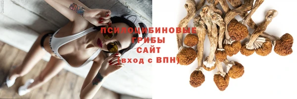 PSILOCYBIN Гусь-Хрустальный