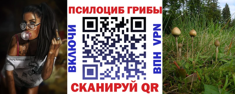 где можно купить   Сурск  Псилоцибиновые грибы ЛСД 